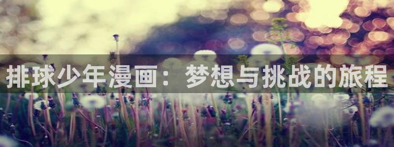 包子漫画正版包子漫画在线下载